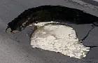 Сильные ливни в Уфе размыли участок набережной