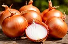 Садоводы нашли замену дорогой химии: копеечные отходы творят чудеса