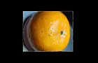 Зараженные апельсины продают в магазинах: можно ли их есть и что за жуки найдены