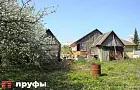Как победить слизней без химикатов: народная ловушка с кефиром