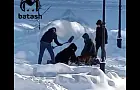Бойцовская собака насмерть загрызла пекинеса и покусала женщину в Башкирии