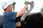 Бывший СВО-шник открыл зоопарк в Белорецком районе