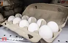 Яичные белки и цельные яйца: что лучше для похудения и здоровья сердца