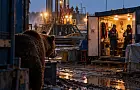 Медведь загрыз вахтовика в Красноярском крае: косолапые открыли сезон охоты на людей