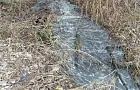 Питьевая вода из помойных болот: жители Мечетлинского района протестуют против водозабора рядом с канализационным стоком санатория «Карагай»