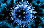 Ученые обнаружили изменения в штаммах коронавируса 