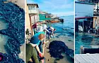 Пятна мазута с потерпевших крушение танкеров достигли берегов Керчи