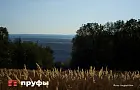 14-летняя школьница пропала в Уфе