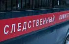 В Башкирии обглоданное тело женщины нашли в поле