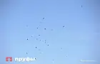 В России стартовало масштабное учение ядерных сил 