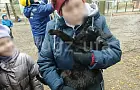 В Уфе кот трое суток не слезал к хозяйке с гигантского дерева – видео