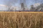 В Башкирии загорелось огромное поле