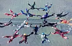 Спортсмены из Башкирии установили рекорд по парашютной гимнастике