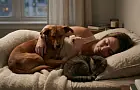 У людей, которые пускают животных в постель, есть одна общая черта
