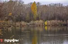 Карась сам в лодку прыгает! Рыбаки рассекретили место богатого улова недалеко от Уфы