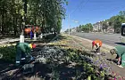 В Уфе начали высаживать 900 000 однолетних цветов 