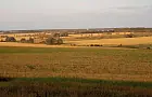 Тысячи тонн урожая Башкирии покинули республику
