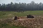 Белорусские зубры за неделю зимой в Башкирии обросли длинной шерстью