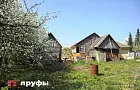 Как вывести медведку с участка без химии − простые ловушки