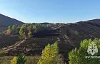 Четыре лесных пожара охватили Башкирию