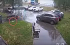 «Живодерка»: в Нижнекамске уборщица выбросила кота из окна