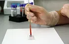 Люди со 2-й группой крови обладают низким интеллектом по сравнению с другими