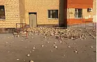В Уфе обрушился фасад дома 