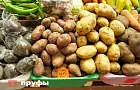 Лунный календарь на август: в какие дни лучше копать картошку