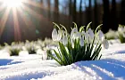 Башкирию ждёт резкое потепление: названы сроки прихода весны