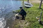 «Царских» рыб, занесенных в Красную Книгу, выпустили в Павловское водохранилище