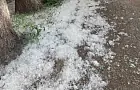 Тополиный пух в городе достиг масштаба бедствия