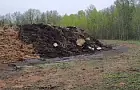 «Урожай» утопает в навозе: в Башкирии страдает вода и почва – рассказал эколог