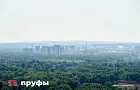 Прокуратура ткнула мэрию Уфы в бесхозные 250 гектаров леса