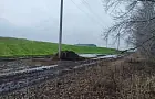 Минсельхоз РБ объяснил, почему в прошлом году зерно бросали на полях