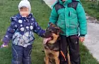 В Башкирии разыскивают собаку 10-летнего мальчика, погибшего в ДТП
