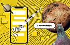 От почтовых голубей до мессенджеров: как росла скорость общения