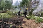 В Башкирии уже четвертые сутки тушат лесной пожар возле села