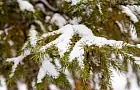 В Башкирии сохранится снежная и теплая погода