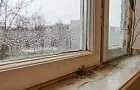 Окна осенью начинают потеть не просто так: как убрать конденсат и защитить квартиру от плесени