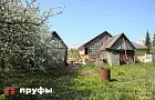 Какие растения посадить рядом с томатами, чтобы вдвое увеличить урожай