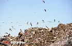 Приставы заставили чиновников ликвидировать около 100 свалок в Башкирии 