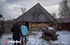 Газ больше не в моде: россияне отказываются от привычного отопления и выбирают дрова