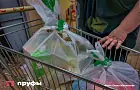 Пенсионерам стоит быть осторожнее с утренними скидками – подробности 