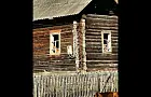 Изба лубяная. В Зауралье пожаловались, что лисы живут в брошенных домах людей