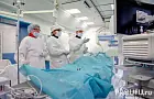 Инфекционисты Башкирии успокоили жителей из-за хантавируса