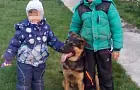 В Башкирии нашлась овчарка погибшего в автокатастрофе 10-летнего мальчика
