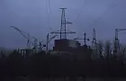 В Чернобыле обнаружили черные грибы, поедающие радиацию: что происходит 