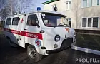 Медведи-людоеды в Бурятии и в Братске: хищник насмерть растерзал мужчину у дороги 