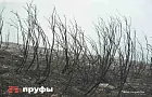 В глубинке Башкирии нашли аномальную деревню, которая изменилась до неузнаваемости после распада СССР