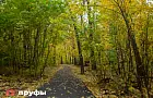 Кто озеленяет Уфу и получает за это миллионы